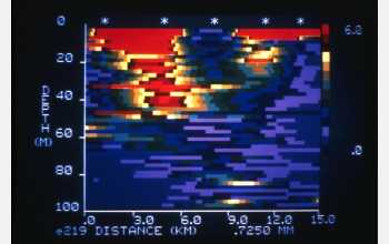 Color-enhanced computer profile of zooplankton obtained with multi-frequency sampler