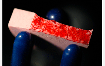 Close-up of one-half of self-healing epoxy specimen after it has been fractured into two pieces.