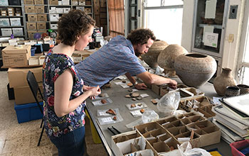 Analyzing pottery sherds from the ancient Mayan port site Vista Alegre