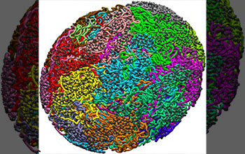 Organization of chromatin inside cell nucleus