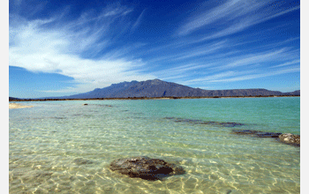 Spring-fed pools, or "pozas," in Mexico's remote Cuatro Ciénegas valley, home to bacterial