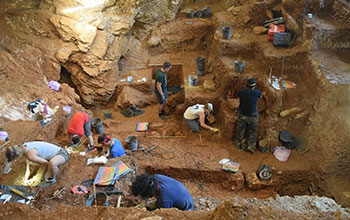 people digging for dinosaurs