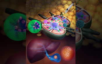 Nanoscale drug carriers injected into subcutaneous tissue