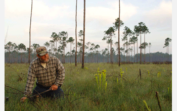 Worm grunter Gary Revell at work in the field.