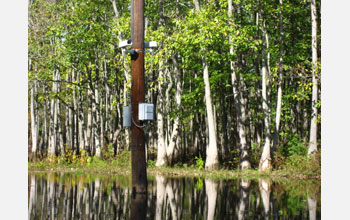 Robotic camera system used in effort to locate ivory-billed woodpeckers