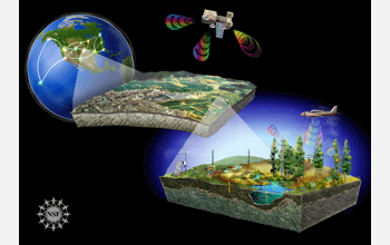 Distributed sensor networks of the National Ecological Observatory Network