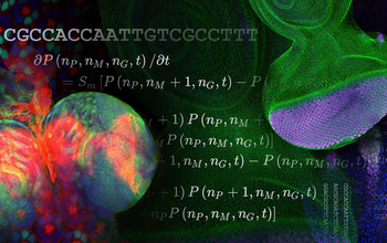 A collage of images showing magnified views of organisms including the brain of a fruit fly larva, the cells and structure of a fruit fly eye, and equations describing some of the biological processes involved.