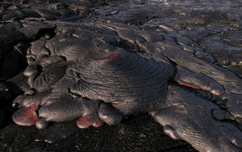 A pahoehoe (lava with a smooth, billowy or ropy surface) lava field on Kilauea