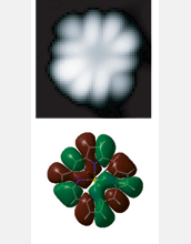 Imaging molecular orbital of a single magnesium porphine molecule--STM (top) and calculated