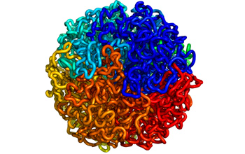 Nearby regions on a chain of DNA are indicated using similar colors