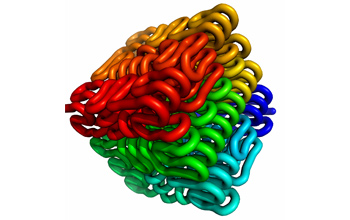 Long stretches of DNA fold into Peano curve-like structures in human genome