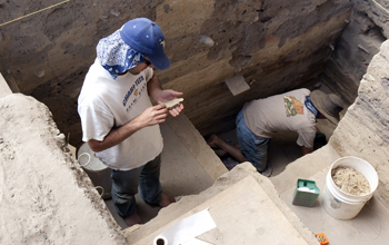 Examining a bone from the upper levels of the North Creek Shelter