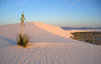 White Sands, New Mexico