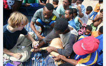 Researchers taking blood sample from dog in the back of a pick-up truck