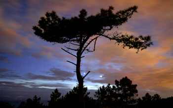 Conjunction between Jupiter and the crescent moon