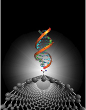 Researchers study single-molecule interactions on very short timescales using nanoscale transistors