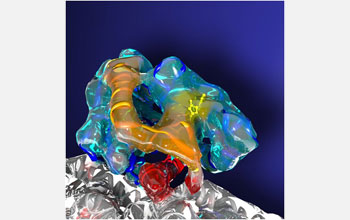 3-D graphic showing cell transportation network