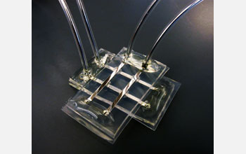 Memory device composed entirely of soft materials and water and can operate in a wet environment