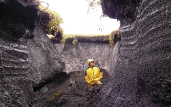 Researcher is dwarfed by the bluffs of a glacial exposure at the village of Kaktovik, Alaska