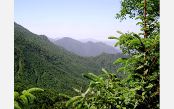 The Qinling Mountain region of the Changqing Nature Reserve, Shaanxi Province, China