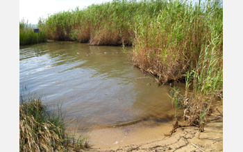 Beach following summer of heavy oiling and cleanup efforts after Deepwater Horizon oil spill