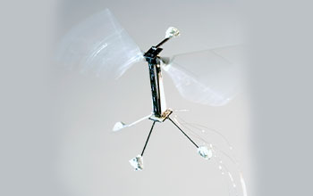 RoboBee