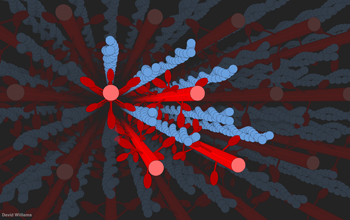 3D model of filaments