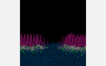 Cross section of loosely packed atmospherically relevant, organic molecules