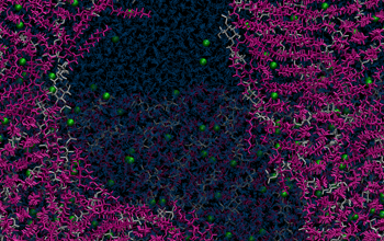 A view from the top looking down on loosely packed, atmospherically relevant, organic molecules