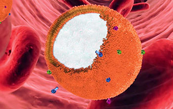 A nanosponge used to combat drug-resistant infections like those caused by MRSA