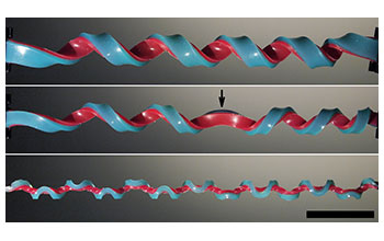 Illustration showing various helices