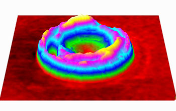 Map of membrane fluctuations in a normal red blood cell