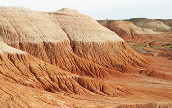 Shishugou Formation in northwest China is famous for the discovery of dinosaurs and pterosaurs