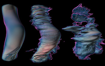 Visualizations of data from a simulation of plasma turbulence in the Earth's ionosphere