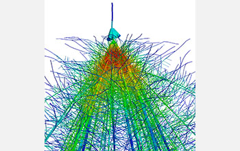 Researchers modeled the average root architecture of modern maize hybrids