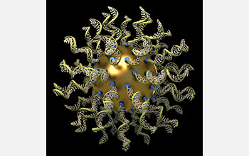 Video showing how SNAs are favorable for therapeutic treatments and medical diagnostics