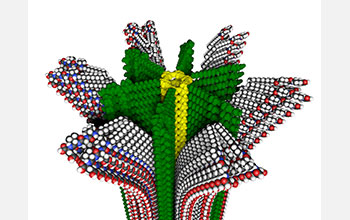 Removable supramolecular compartments on new hybrid polymer