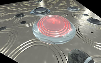 Plasmonic interferometers