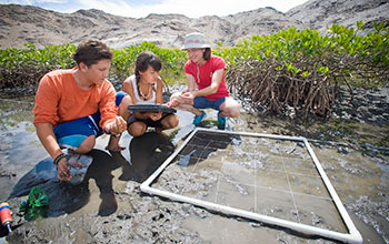 Students conduct an experiment