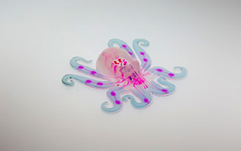 Octobot