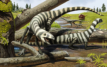 Asilisaurus kongwe