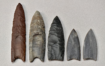 A collection of Clovis point replicas and casts