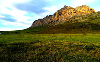 View of the Arctic tundra