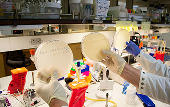 Lab of professor Justin Meyer