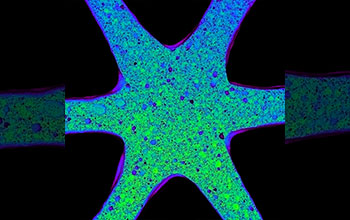 Close-up of one node of triangular honeycomb