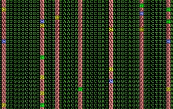 Multiple DNA sequences are aligned to highlight the patterns observed in the study.