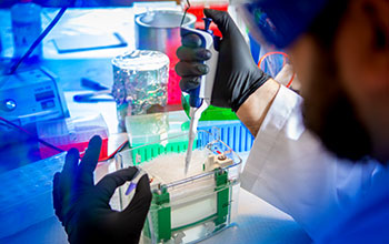 Using gel electrophoresis technique to separate mucins from other proteins