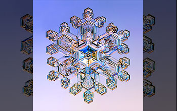 A stellar dendrite snow crystal