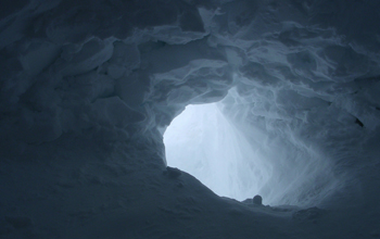 Looking out of a Quincy shelter