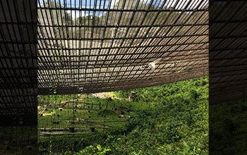 The underside of the dish at the 305-meter telescope at Arecibo Observatory